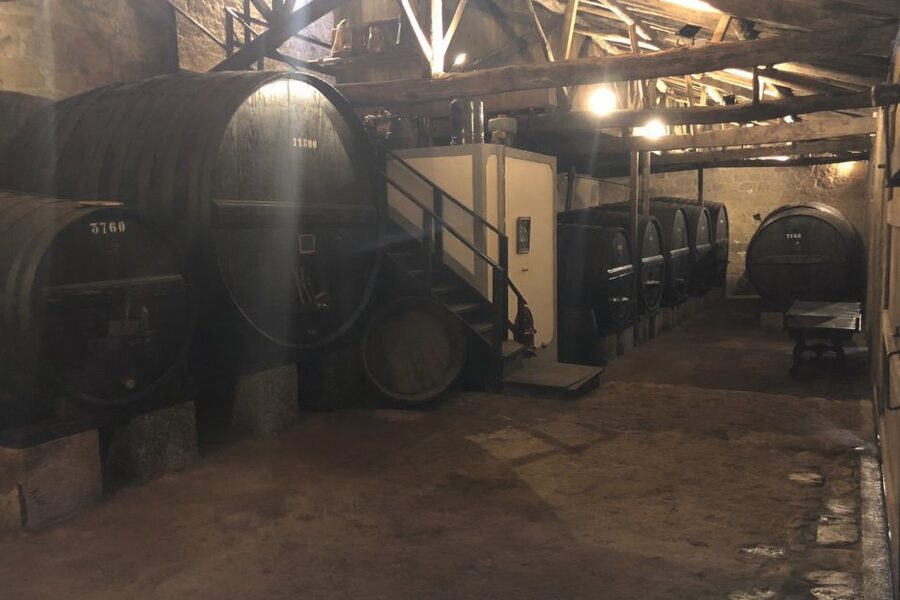 Lamego: Quinta da Portela de Baixo Winery Tour and Tasting - Start with the Wine Cellar Museum