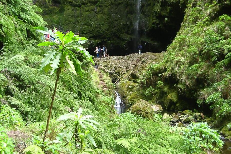Levada Walk and Caldeirao Verde Waterfalls: Madeira - Key points to know before you book