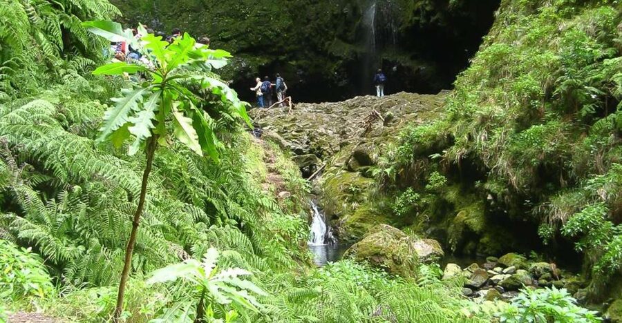 Levada Walk and Caldeirao Verde Waterfalls: Madeira - Why Madeira’s levadas make such good walking routes