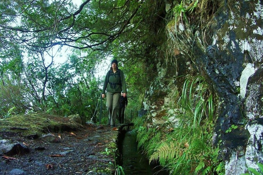 Levada Walk and Caldeirao Verde Waterfalls: Madeira - Starting at Queimadas Forest Park