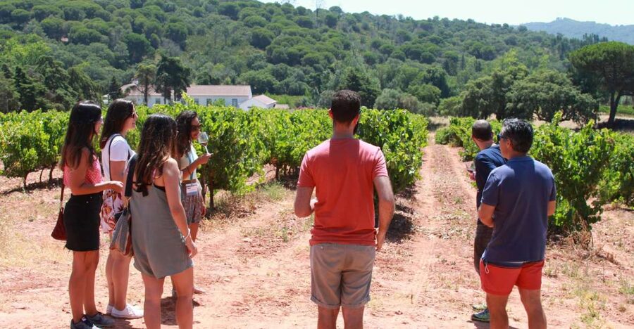 Lisbon: Arrábida and Sesimbra Day Trip with Wine - Key things to know before booking