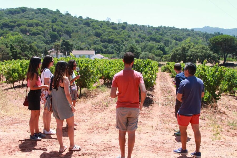 Lisbon: Arrábida and Sesimbra Day Trip with Wine - Why this is a good day beyond Lisbon