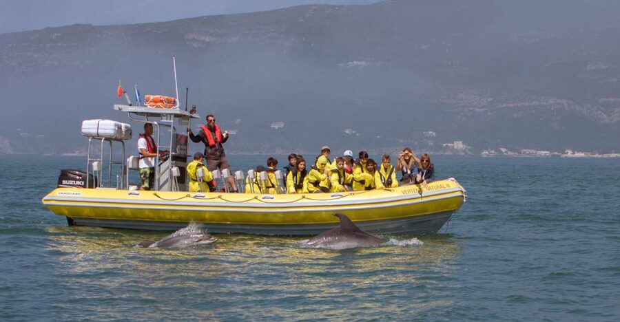 Lisbon: Arrábida Natural Park Dolphin Watching Boat Tour - Why this coast makes a good dolphin trip