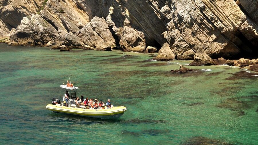 Lisbon: Arrábida Natural Park Dolphin Watching Boat Tour - The pastry and regional drink
