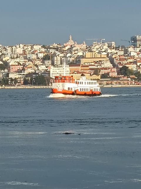 Lisbon: Belem, Jeronimos Monastery, and Coach Museum Tour - Black-cab rides to Belém Tower and the riverfront