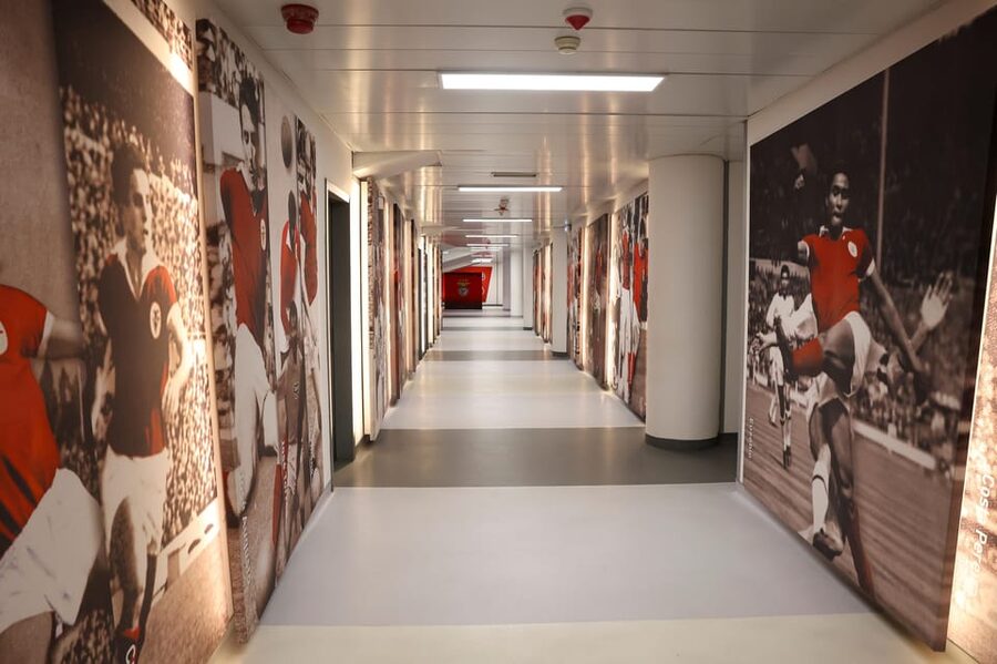 Lisbon: Benfica Luz Stadium Tour with Souvenir Scarf - Finishing at the official Benfica store