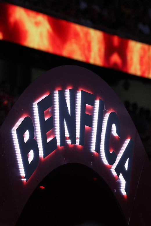 Lisbon: Benfica Luz Stadium Tour with Souvenir Scarf - Who will enjoy this Benfica experience most?
