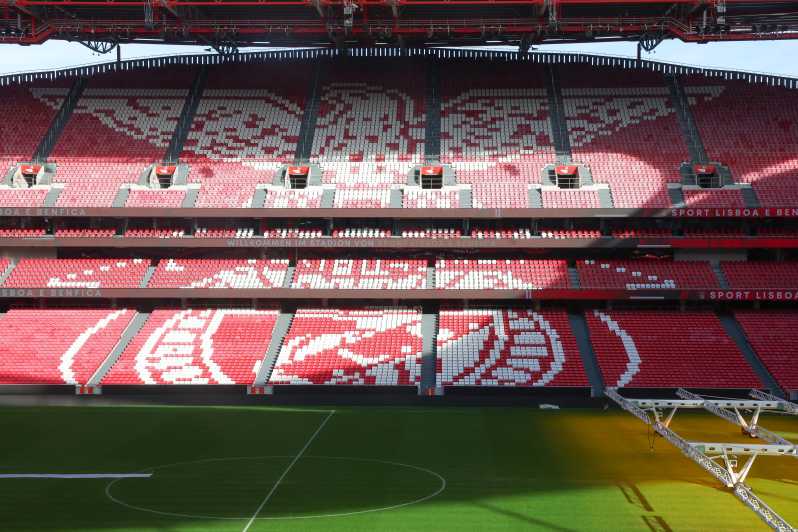 Lisbon: Benfica Luz Stadium Tour with Souvenir Scarf - Stadium models and the Benfica Campus