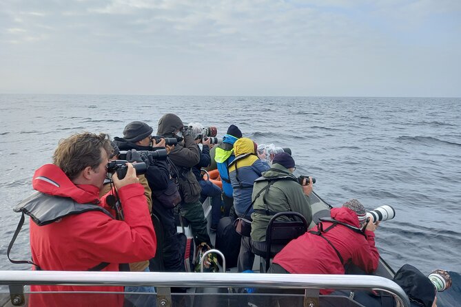 Lisbon: Dolphin Watching with a Marine Biologist - Ocean Safari - Clothing, age limits, and practical details