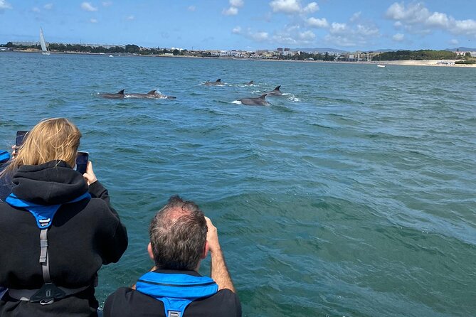 Lisbon: Dolphin Watching with Marine Biologist - Small Group - Starting Under the 25 de Abril Bridge