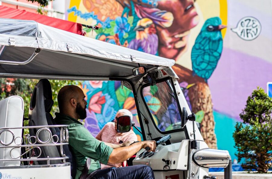Lisbon: Half-Day Private Guided Tuk-Tuk Tour - Chiado, Carmo, and São Roque