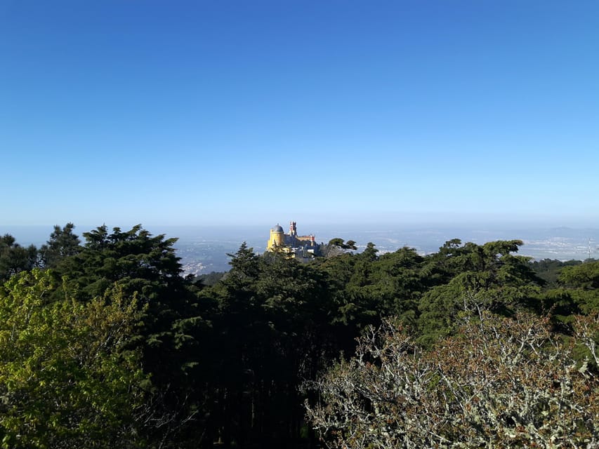 Lisbon: Half-Day Sintra Tour with Pena Palace and Regaleira - Walking, weather, and who should book