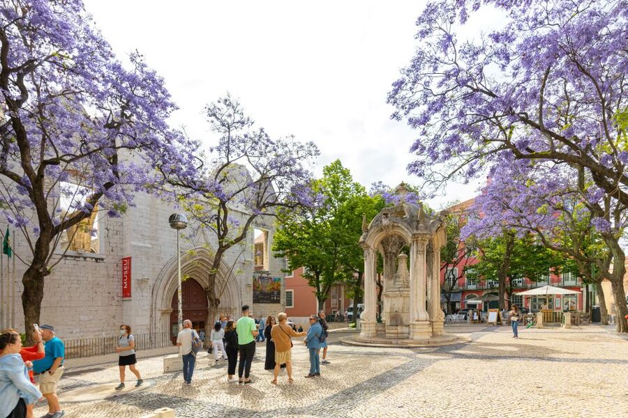 Lisbon: History, Stories and Lifestyle Walking Tour - Santa Justa and the heart of Baixa
