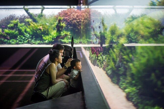 Lisbon Oceanario: Aquarium Entrance Ticket - Forests Underwater by Takashi Amano