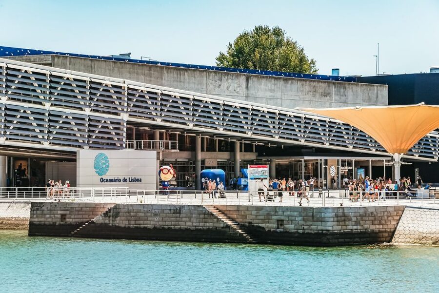 Lisbon: Oceanário de Lisboa Entrance Ticket - Why a Guided Tour Can Be Worth the Extra Cost