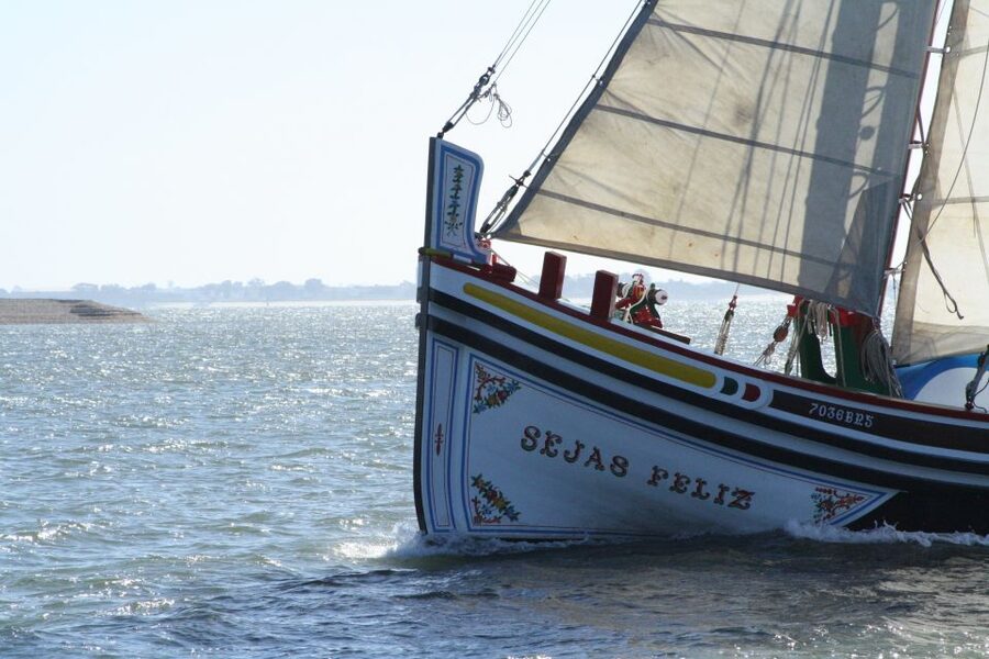 Lisbon: River Tagus Sightseeing Cruise in Traditional Vessel - Belém, Jerónimos Monastery, and Belém Tower