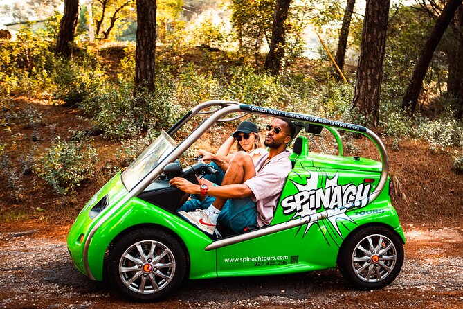 Lisbon Self-Drive Sightseeing Tour in an Electric Car - Who should book this Lisbon drive?