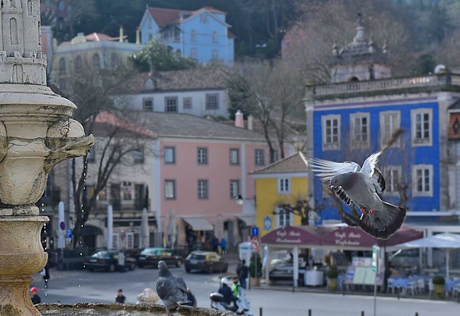 Lisbon: Sintra, Pena Palace, Quinta Regaleira, Cascais Tour - Why this makes a strong Lisbon day trip