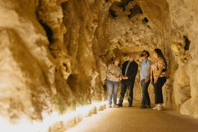 Lisbon: Sintra Tour with Optional Regaleira & Pena Gardens - The van, guide, and road conditions