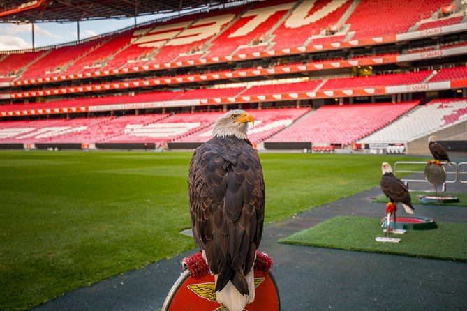 Lisbon SL Benfica Stadium & Museum Tour with Scarf - Who gets the most from this Benfica visit