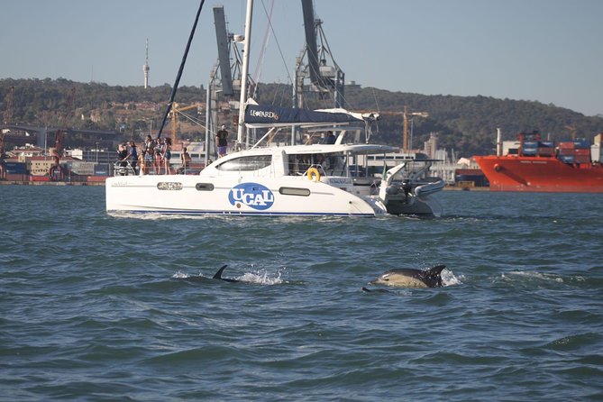 Lisbon: Sunset Cruise With Drinks on Spacious Yacht - Crossing toward Christ the King and the south bank
