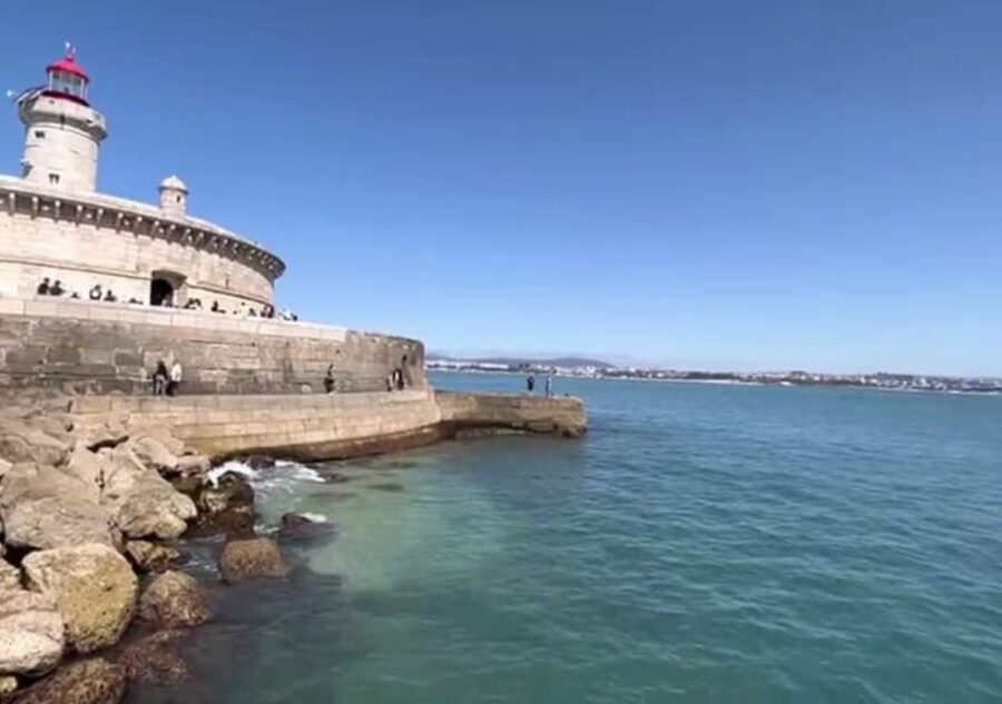 Lisbon: Tagus River Cruise to the Ocean & Dolphin Watching - The Atlantic search for dolphins