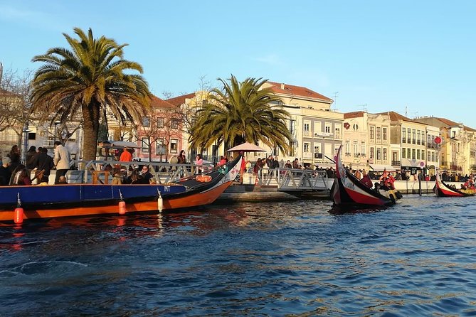 Lisbon to Porto Up to 4 Stops: Obidos, Nazare, Fatima and Aveiro - Fátima, a meaningful pause for religious visitors