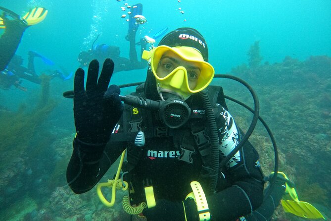 Lisbon: Try Scuba Diving in Arrabida Marine Reserve with photos - Why Sesimbra is the right starting point