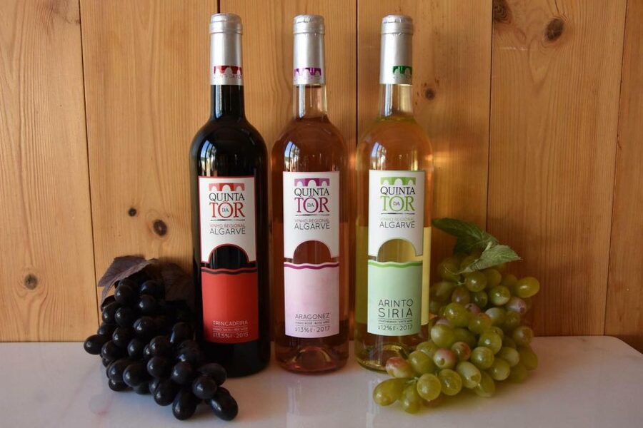 Loulé: Quinta da Tôr Winery Guided Tour and Wine Tasting - The 90-Minute Tasting: Four Wines, Not Four Sips