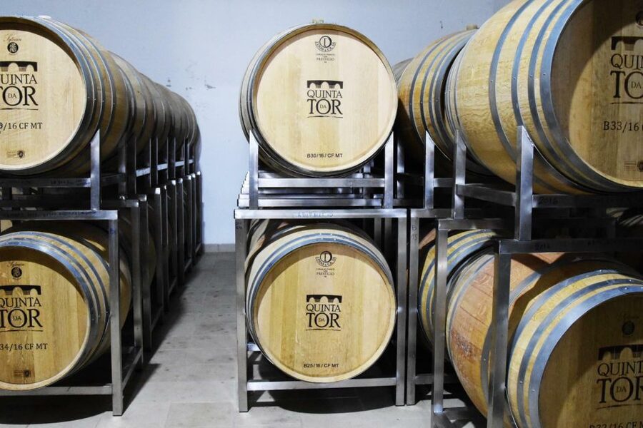 Loulé: Quinta da Tôr Winery Guided Tour and Wine Tasting - The Pool and Vineyard View