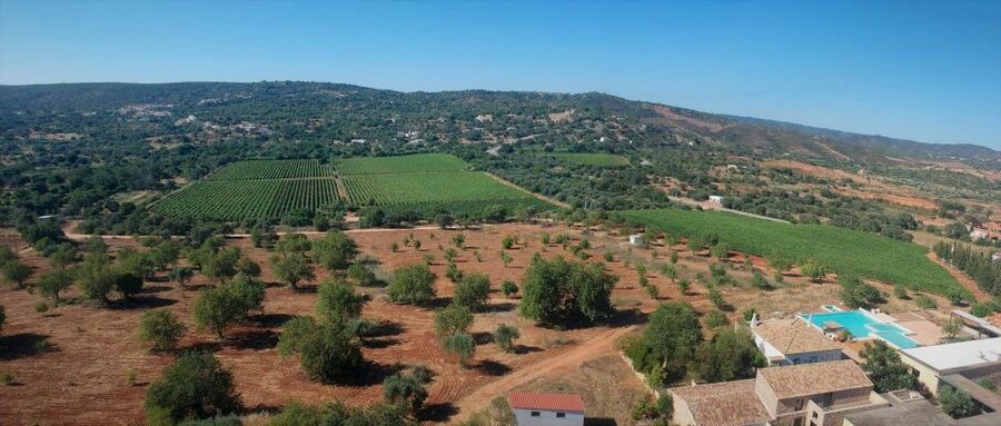 Loulé: Quinta da Tôr Winery Guided Tour and Wine Tasting - Is $21 a Fair Price?