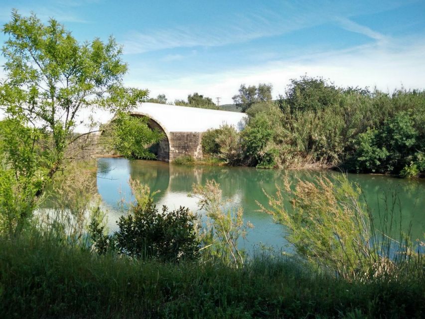 Loulé: Quinta da Tôr Winery Guided Tour and Wine Tasting - The Guides Make the Difference