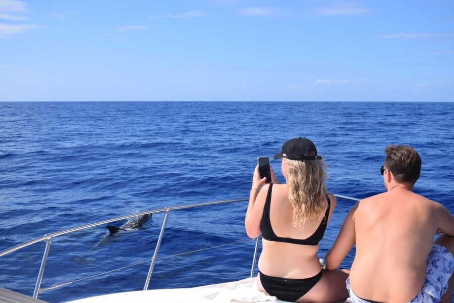 Madeira: 2.5-Hour Whale and Dolphin-Watching Cruise - Drinks, towels, and the little details that matter