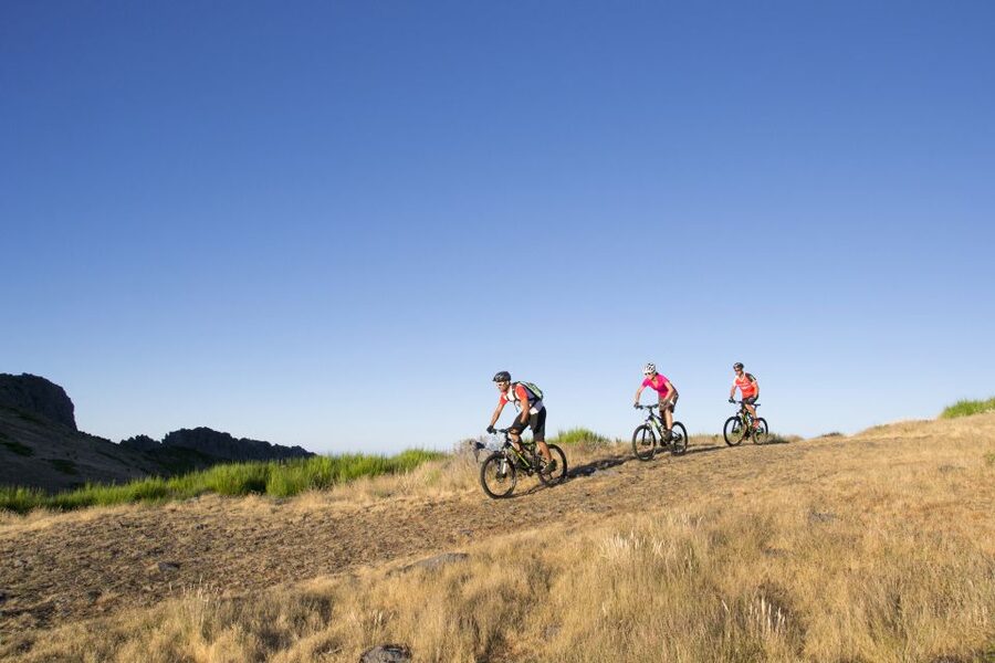 Madeira Botanical Levels Bike Tour – Scenic Trail Experience - Through Madeira’s laurel, eucalyptus, and pine forests
