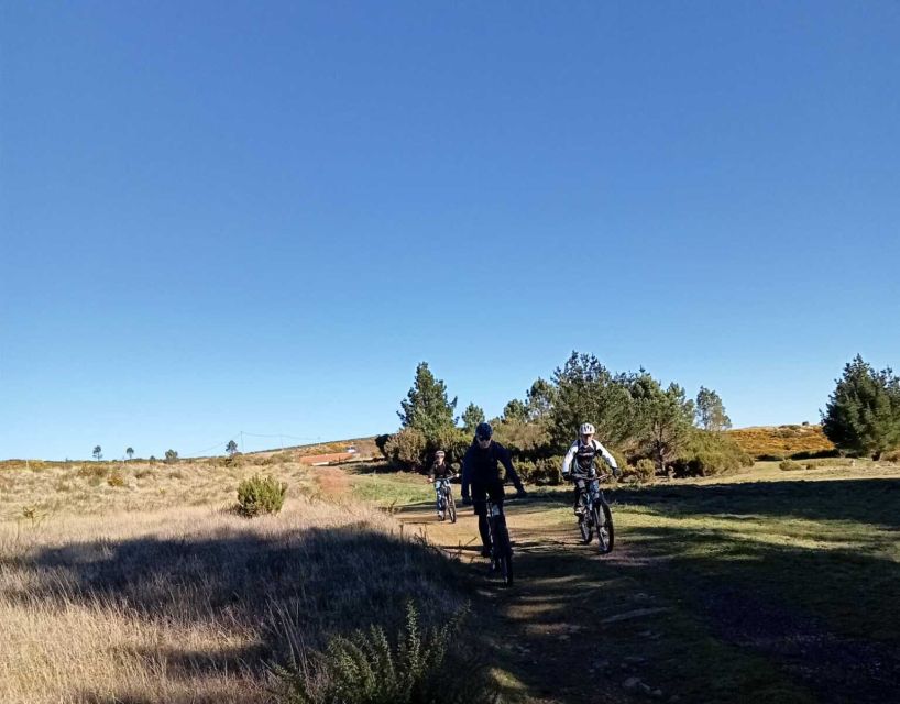 Madeira Botanical Levels Bike Tour – Scenic Trail Experience - Is $94 a fair price?