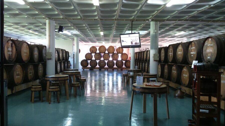 Madeira: Cabo Girao, Jeep Tour Adventure and Wine Tasting - Who will enjoy this tour most