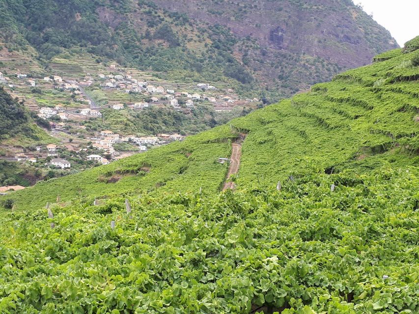 Madeira: Cabo Girão, Wine Tasting, & Serra d'Água Jeep Tour - Serra d’Água gives the ride its visual appeal