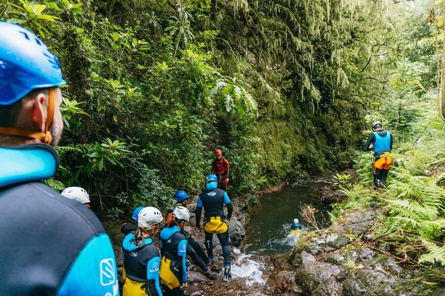 Madeira Canyoning Beginners – Easy & Fun Waterfall Adventure - Green surroundings and Madeira’s endemic plants