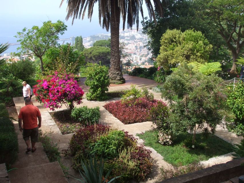 Madeira: Customized 3, 4 or 6-Hour Tour - Câmara de Lobos brings the west coast closer