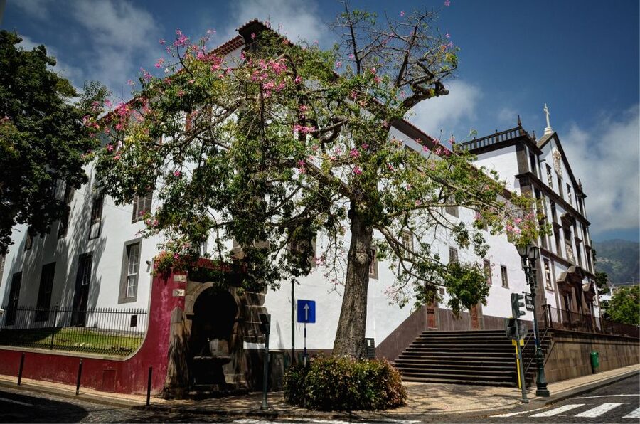 Madeira: Customized 3, 4 or 6-Hour Tour - Nuns Valley is the choice for mountain drama