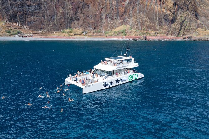 Madeira Dolphin and Whale Watching on a Ecological Catamaran - Key points before you book