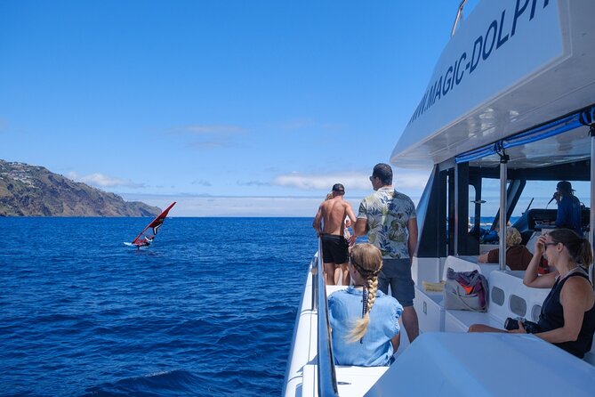 Madeira Dolphin and Whale Watching on a Ecological Catamaran - The quiet approach near whales and dolphins