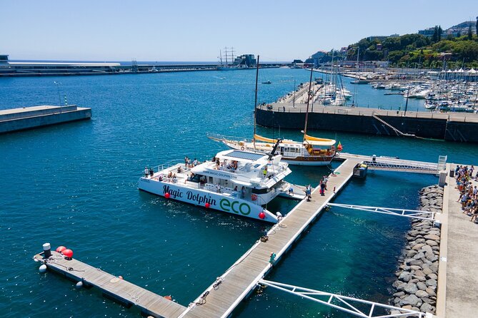 Madeira Dolphin and Whale Watching on a Ecological Catamaran - Crew, safety, and the size of the group