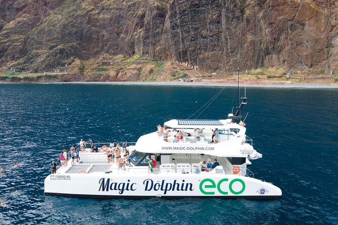 Madeira Dolphin and Whale Watching on a Ecological Catamaran - What you might see in Madeira’s waters