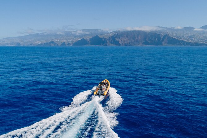 Madeira Dolphin & Whale Watching Tour - Leaving Funchal Marina for the open Atlantic