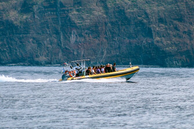 Madeira Dolphin & Whale Watching Tour - Timing, weather, and the real length of the outing