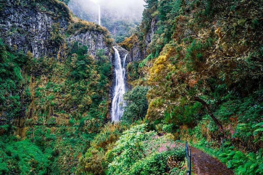 Madeira: Enjoy a Guided Levada Walk in the Rabaçal Valley - Key points to know before booking