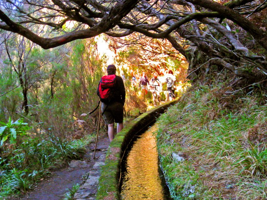 Madeira: Enjoy a Guided Levada Walk in the Rabaçal Valley - The tunnel makes the return route different