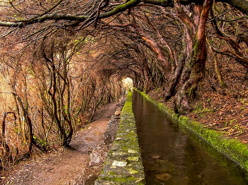 Madeira: Enjoy a Guided Levada Walk in the Rabaçal Valley - Crowds, weather, and route changes