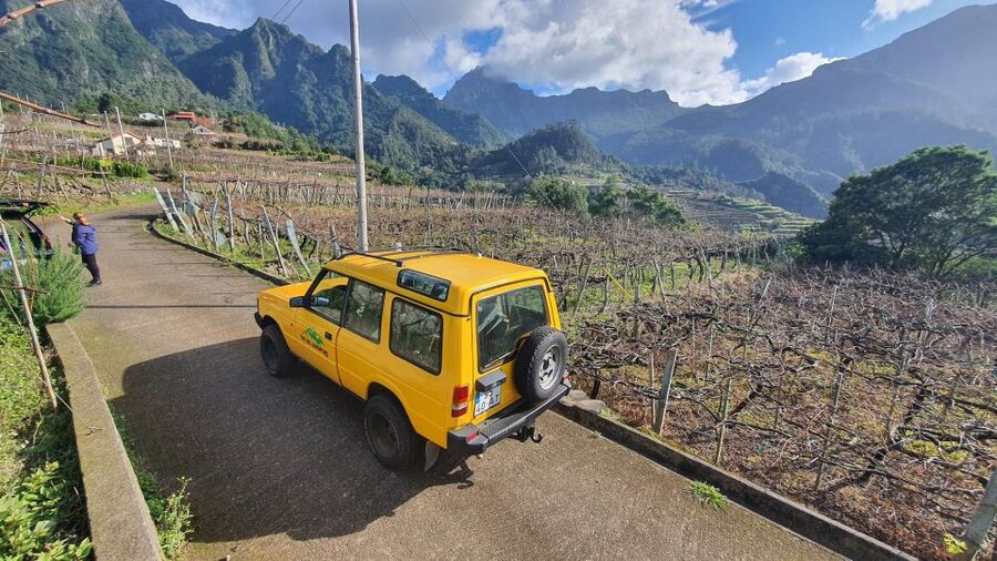 Madeira: Full-Day Jeep Tour with Guide and Pickup - Fanal Forest: the day’s most peaceful stop